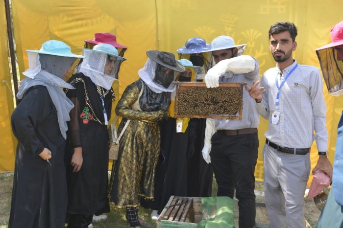 Beekeeping-Sindh Courier-2