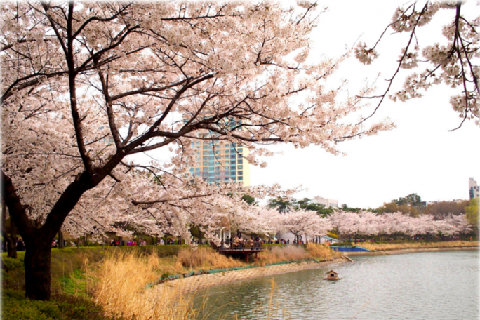 Seoul-Cherry-Blossom-Tour-Lotte-World-7-e1487645351232