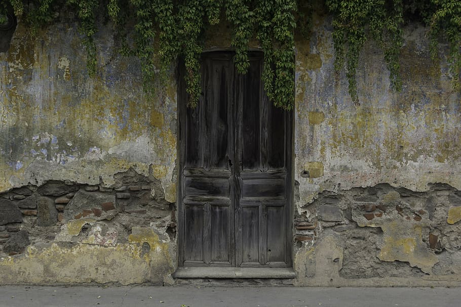 doors-ancient-wood-old-door