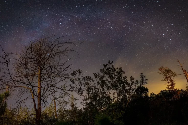 Stargazing-in-Virginia-Hero-John-Brighenti-via-Flickr