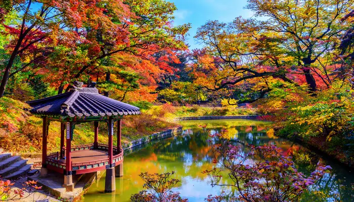 cover-for-Autumn-In-Korea