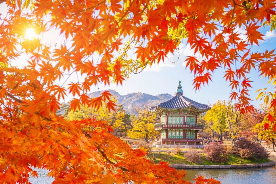 fall-foliage-forecast-korea-2018-fall-foliage-korea-2018-when-is-autumn-in-korea-5