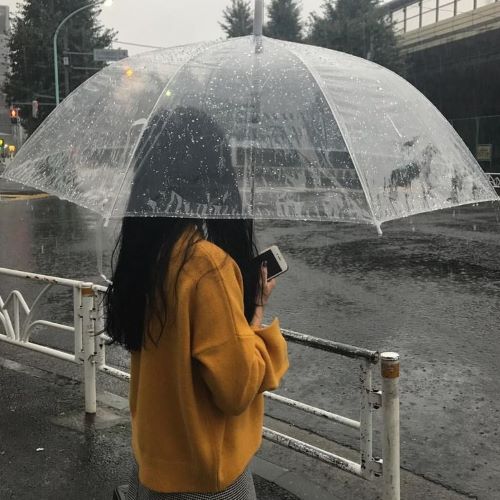 To Everyone, Falling Rain – Poetry from Korea