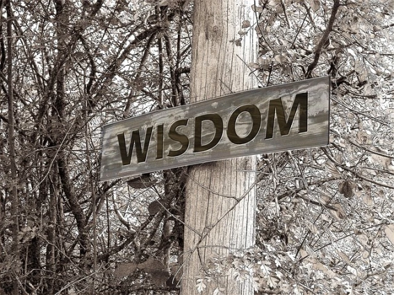 Lear’s ‘Dear Judgement’: Limitations of Human Wisdom