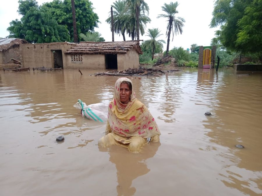 An inundated village of Sindh-4 File Photo