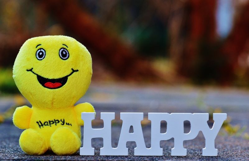 Happiness is a state of mind - LinkedIn