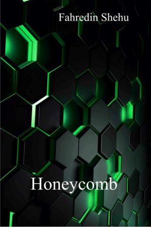 Kosovar author Fahredin Shehu’s novel ‘Honeycomb’ published in USA