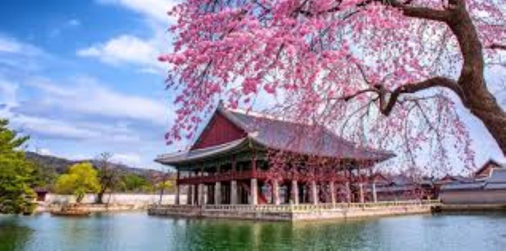 Korea-Spring-1