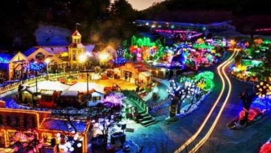 lighting-festival-featured-image-1200x900