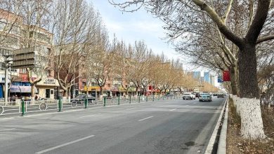 20240322_North_Xingfu_Road,_Aksu_City