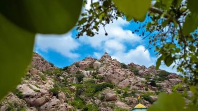 Karoonjhar-Sindh Courier