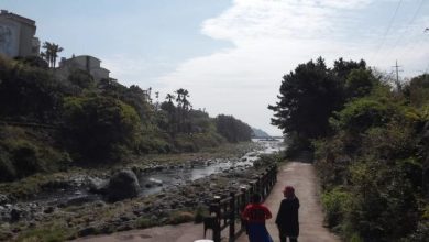 Gangjeong-Korea