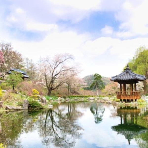 garden_morning_calm_thumb-001-scaled-628x628