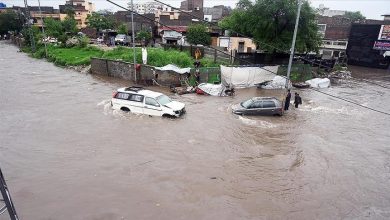 thumbs_b_c_828fae373da4c63f224d0262cbf5f0e3