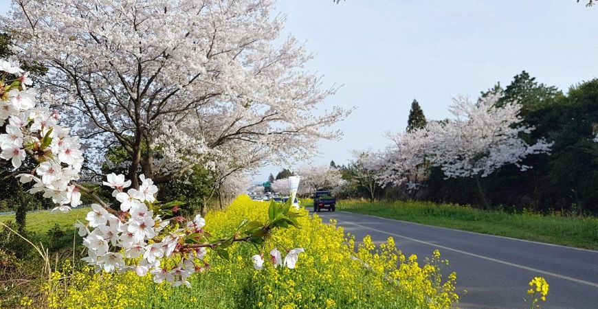 4134b43f-a9a5-4b9d-b4b0-5c239349be06