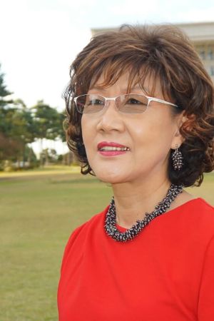 Im Sol Nae - Korea-Sindh Courier
