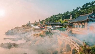 f21171a9-a16c-4fca-b703-fe41f5fefe46