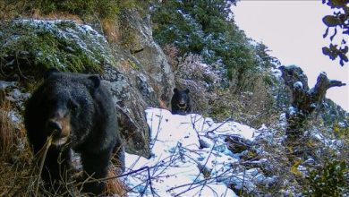 thumbs_b_c_87d4b36f1eaa3f56ad99935305d48e96