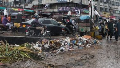 20201013-nyt-pakistan_flies_9-ac