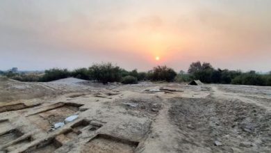 Chanhoon-Jo-Daro-Archaeology-Sindh Courier-1