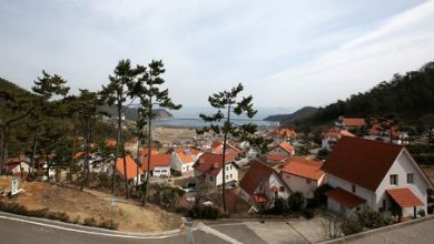 Namhae_Jiae_Article_05