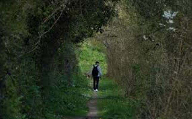 Psychology-Literature-4