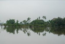 thumbs_b_c_0f6bef2119e612abd43ce9f653018e8b