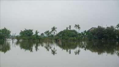 thumbs_b_c_0f6bef2119e612abd43ce9f653018e8b