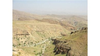 tracing-hunters-hunting-scenes-sindh-s-rock-art-1761652557-3960