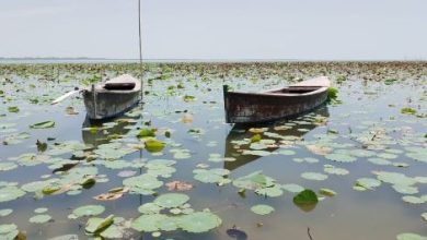 Keenjhar Lake-Sindh Courier