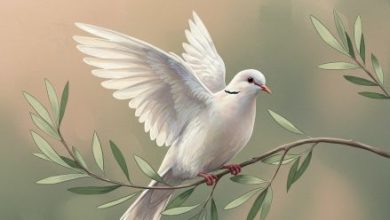 z3UPsfenQ--uFxa-2BxqBg