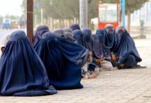 42556-img_3091-739_416