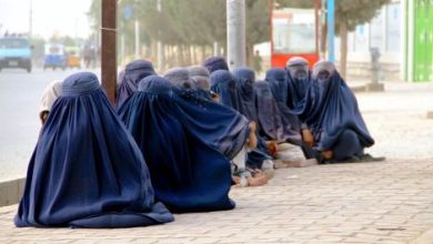 42556-img_3091-739_416