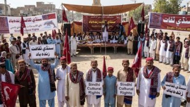 AI-generated image-Sindh Courier-1