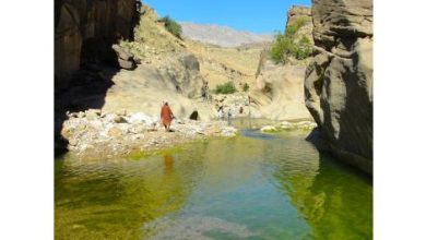 sindh-s-secret-galleries-discovering-rock-art-across-khirthar-1764613106-9210