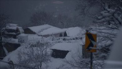 thumbs_b_c_6b41f2b2f69a24cc456ba8c771bc7df7