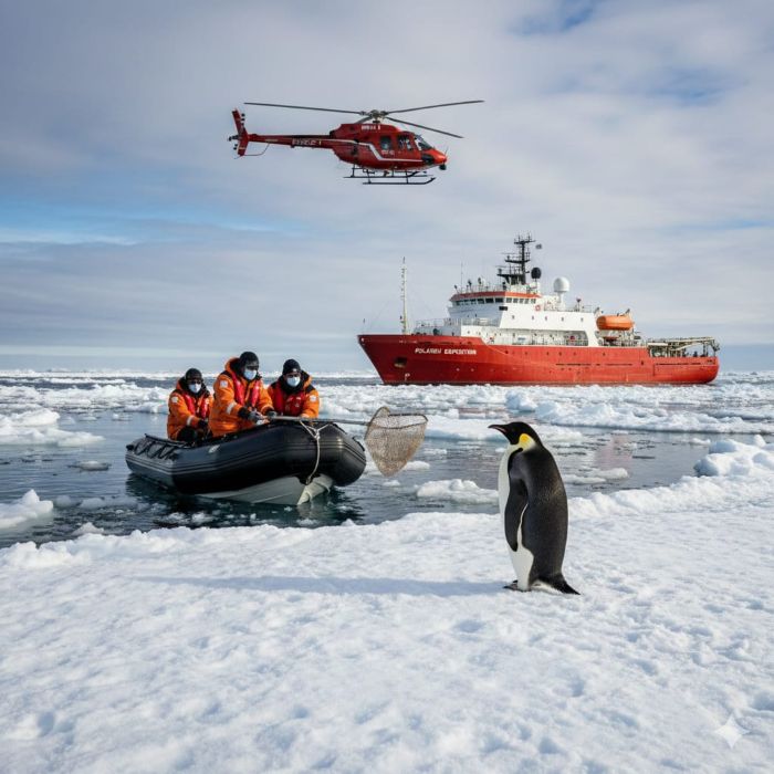 Penguin - Sindh Courier