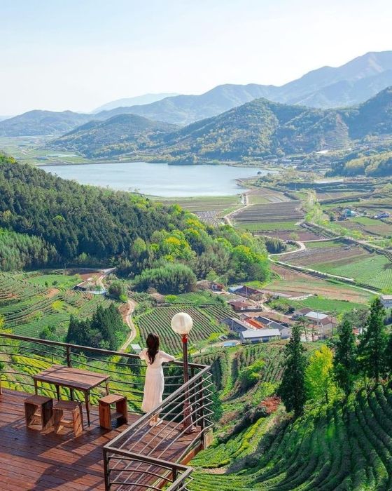 9c658322815c70c68e6d2fda32ffbb2c