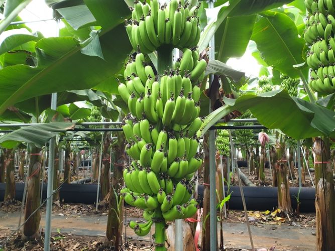 news-p.v1.20240412.f9a281da6e274133aafc9fdcb099bbe6_P1