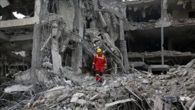 thumbs_b_c_190e64b014fd203596ced09173bb0b8c