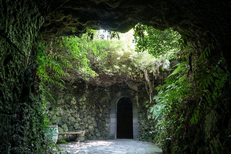 84ec6787-e6ac-453d-89d1-0ce9f4a97baf