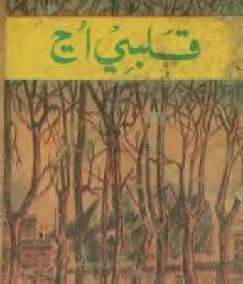 Badam Natawan-Book-Sindh Courier