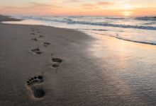 Gemini_Generated_Image_Footprints-Sindh Courier