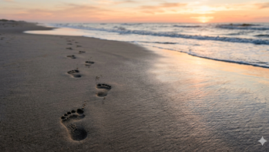 Gemini_Generated_Image_Footprints-Sindh Courier