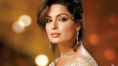 Gemini_Generated_Image_Meera-Actress-Sindh Courier