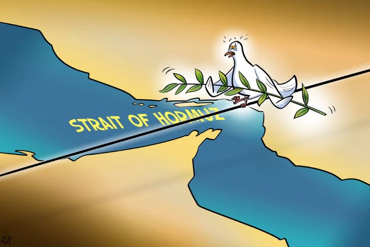 ea0d3a00d7f925f658dda47389541ef4