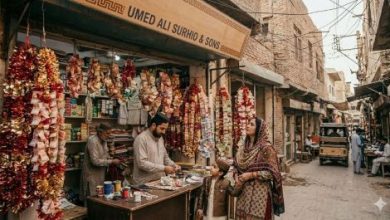 Currency-Notes--garlands- Sindh Courier