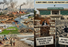 Gemini_Generated-Climate-Sindh Courier