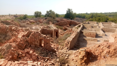 Gemini_Generated_Image_MohenJoDaro-Sindh Courier-