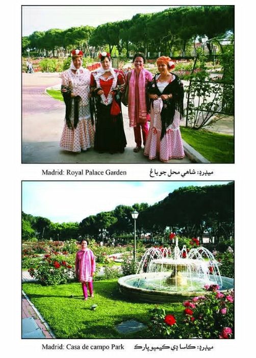 Madrid 1- Sindh Courier